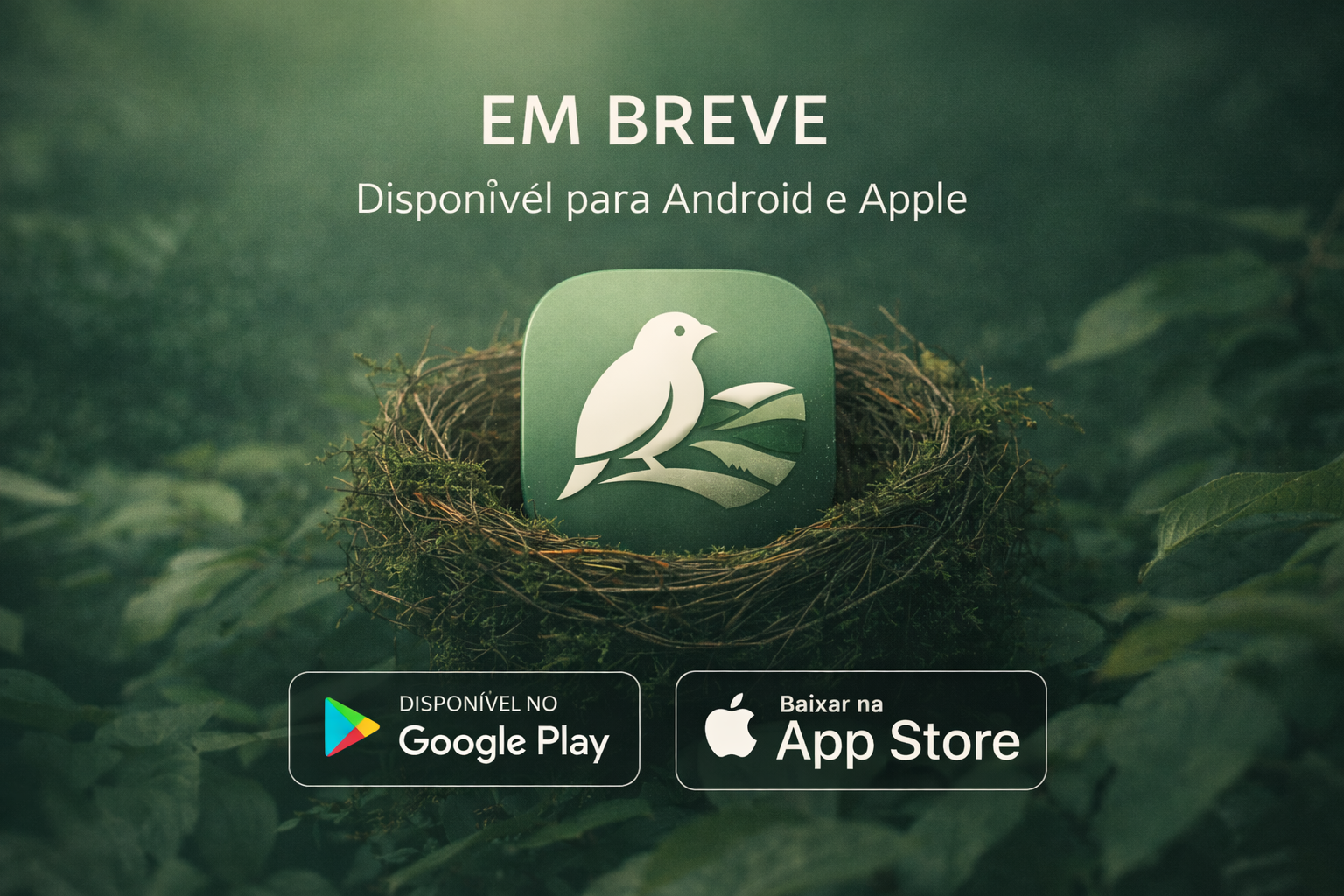 Araponga App - Plataforma Digital Comunitária